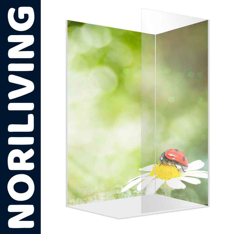 Glas-Duschwand mit einem Motiv von einem Marienkäfer auf einer Blume vor unscharfem grünem Hintergrund, präsentiert von Noriliving