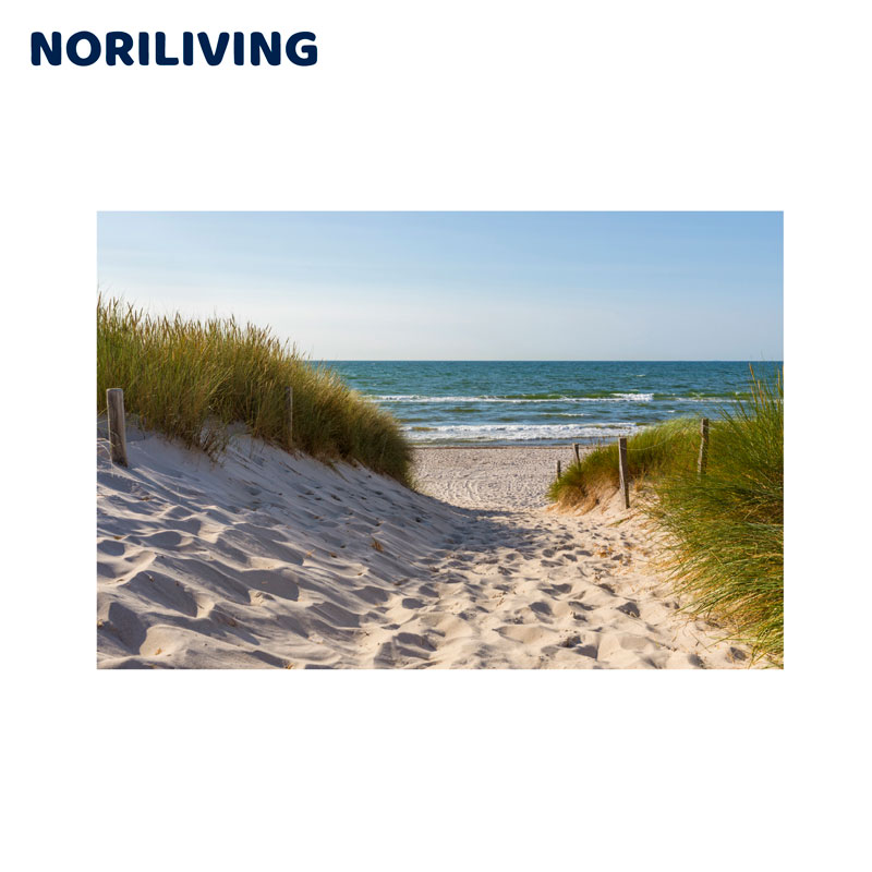 Ein sandiger Weg führt durch Dünen mit Grasbewuchs zu einem ruhigen, blauen Meer unter klarem Himmel.