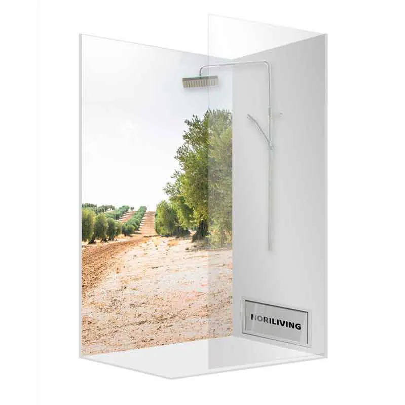 Glasdusche Walk-in mit Olivenhain-Naturmotiv