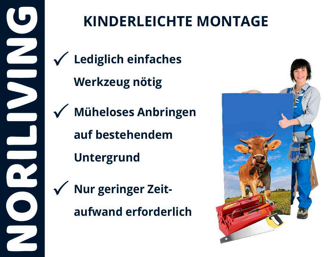 NORILIVING Produkt mit kinderleichter Montage und geringem Werkzeugbedarf Plakat für NORILIVING mit einfacher Montageinstruktion und Bild einer Frau, die ein Bild von einer Kuh hält