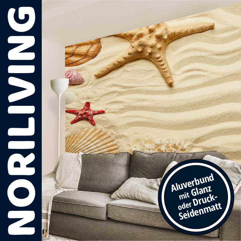 Sofa vor einer Wand mit Strandmotiv, Seesternen und Muscheln, beworben von Noriliving mit Aluverbund-Optionen in Glanz oder Druck-Seidenmatt