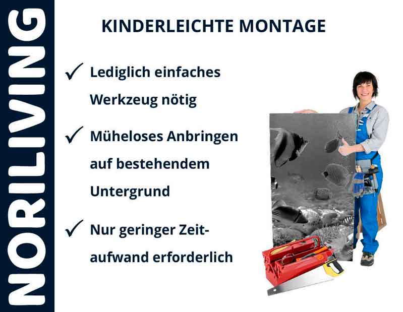 Werbung für kinderleichte Montage mit einfachem Werkzeug von Noriliving Noriliving: Frau mit Werkzeugkiste präsentiert einfache Montageanleitung