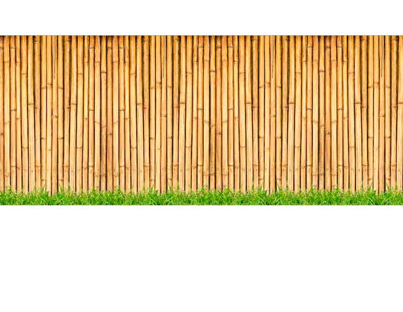 Dichter Bambuszaun mit saftigem grünem Gras am unteren Rand