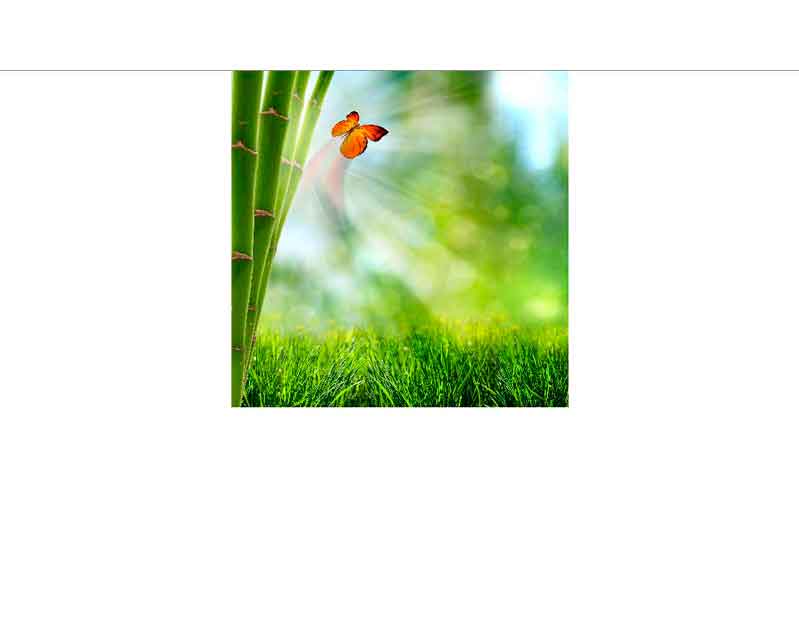 Ein Schmetterling fliegt über einem grünen Feld, neben einem Bambus in einer natürlichen Umgebung