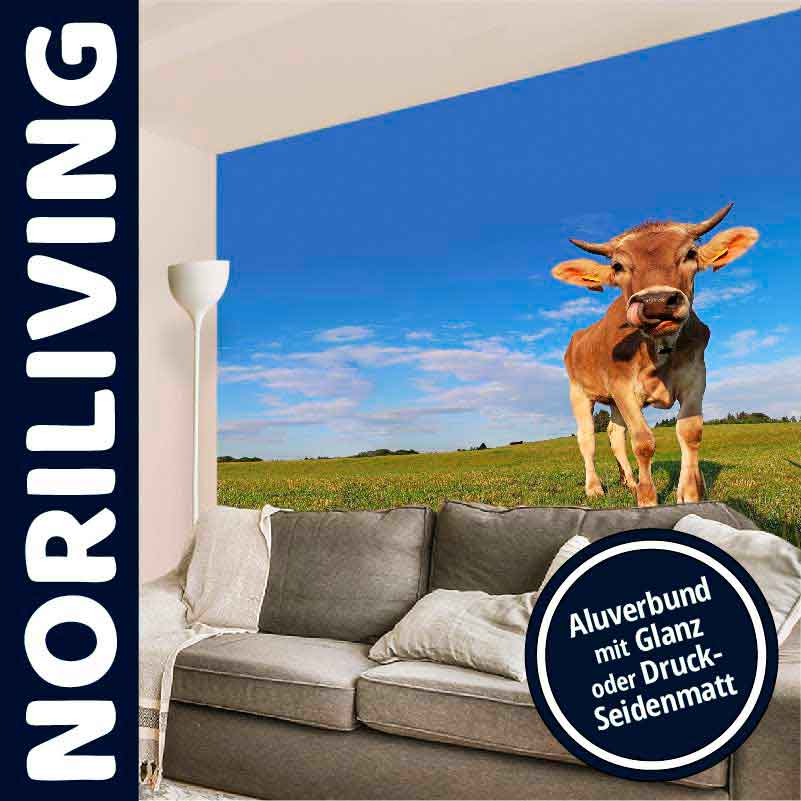 Leinwandbild mit Kuh auf Weide im Wohnzimmer - Noriliving Aluverbund Glanz oder Seidenmatt Foto einer Kuh auf einer Weide, drapiert in einem modernen Wohnzimmer, beworben von Noriliving mit Optionen für Aluverbund in Glanz oder Druck-Seidenmatt.