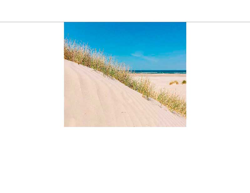 Eine Sanddüne mit Dünengras und Blick auf das Meer unter einem blauen Himmel