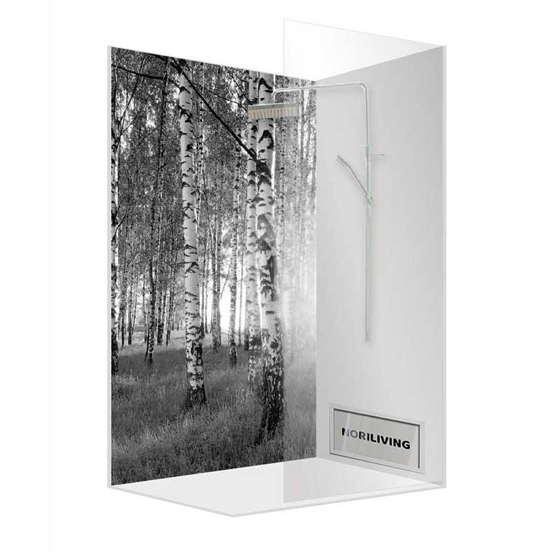 Duschwand mit Birkenwald-Motiv Moderne Duschwand mit Fototapete eines Birkenwaldes