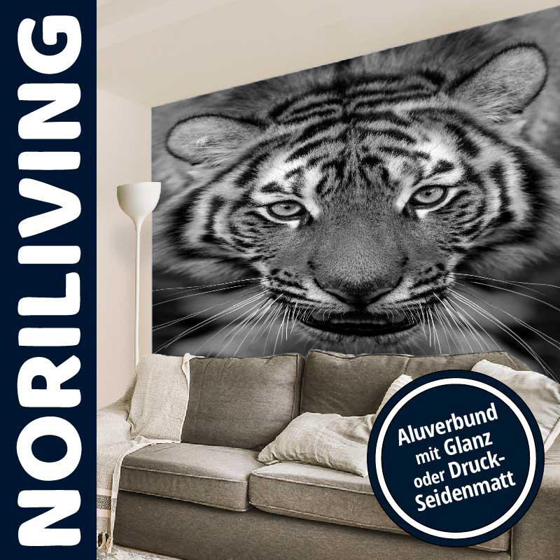 Moderne Wohnzimmergestaltung mit schwarzem und weißem Tiger-Wandbild, angebotene Oberflächen: Glanz oder Druck-Seidenmatt. Wohnzimmer mit modernem Tiger-Wandbild in Schwarz-Weiß, beige Couch und dekorativen Kissen.