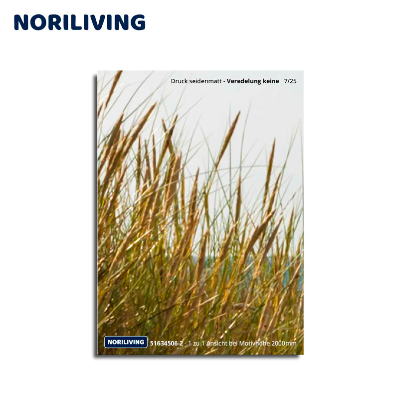 Nahaufnahme von Gräsern auf einem seidenmatten Noriliving Druck ohne Veredelung