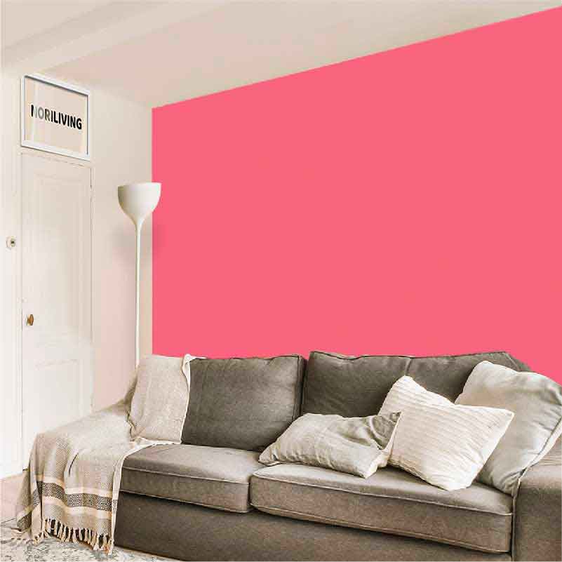 Moderner Wohnraum mit gemütlichem grauem Sofa und leuchtender rosa Wand