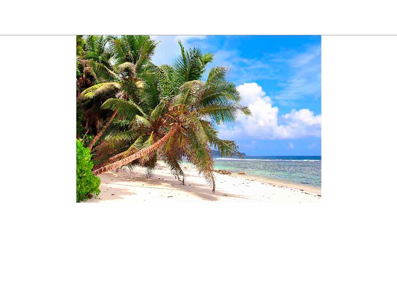 Paradiesischer Strand mit Palmen und klarem Himmel Ein malerischer Strand mit Palmen umgeben von klarem blauen Himmel und türkisfarbenem Meerwasser