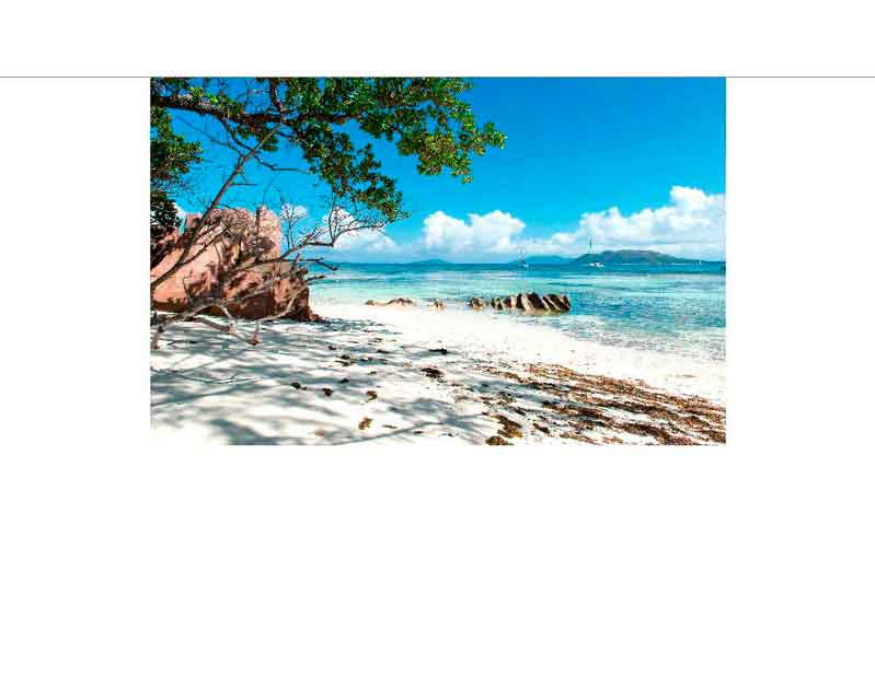 Atemberaubender weißer Sandstrand mit türkisfarbenem Wasser und Bäumen im Vordergrund