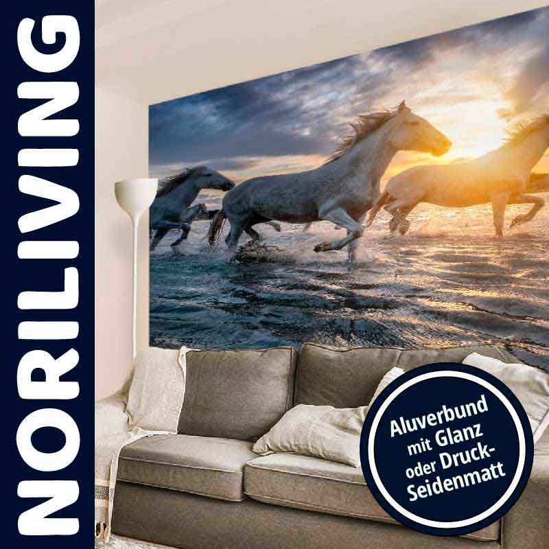Noriliving Wandbild mit galoppierenden Pferden bei Sonnenuntergang Großes Wandbild von Noriliving zeigt galoppierende Pferde im Wasser bei Sonnenuntergang, Option Aluverbund mit Glanz oder Druck-Seidenmatt