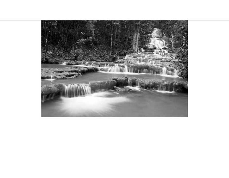 Ein stufiger Wasserfall fließt durch einen Wald, in schwarz-weiß fotografiert