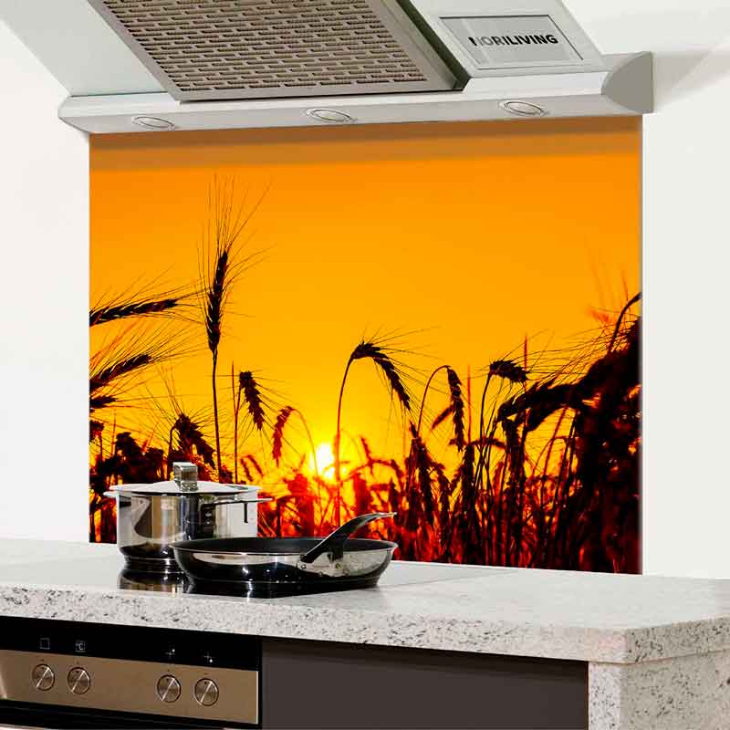 Ein Küchenspritzschutz mit einem Bild von einem Sonnenuntergang über einem Getreidefeld hinter einem Herd.