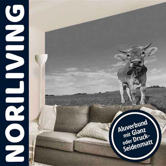 Wanddekoration mit Kuh-Motiv auf Aluverbund - Glanz oder Seidenmatt Wohnzimmer mit Sofa und großem Wandbild einer Kuh auf einer Weide, Aluverbunddruck von NORILIVING
