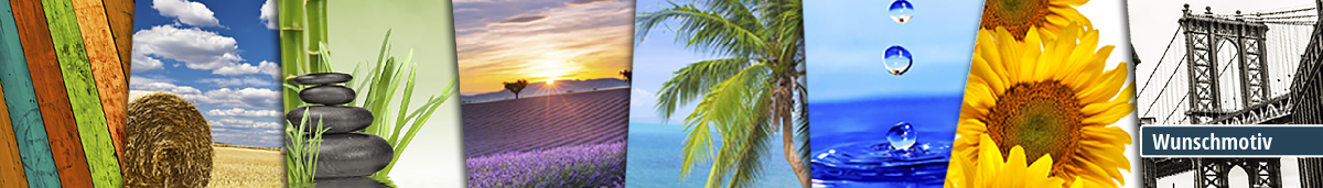 Verschiedene Landschaften und Motive: Natur, Strand und Architektur Collage von Bildern mit Landschaften, Natur, Strand, Sonne, Steinen, Pflanzen, Wasser, Sonnenblume und Brücke