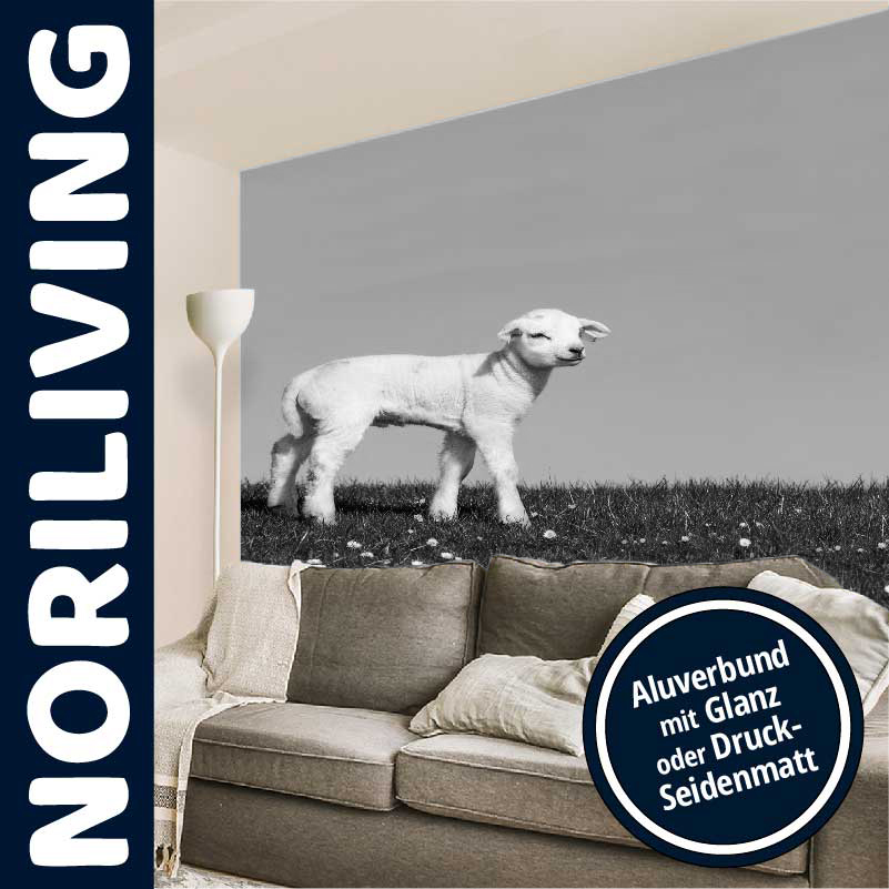 Wandbild Lamm auf Wiese im Wohnzimmer, Noriliving Stil Schwarz-weißes Wandbild mit Lamm auf einer Wiese hinter einer Couch, Noriliving Design