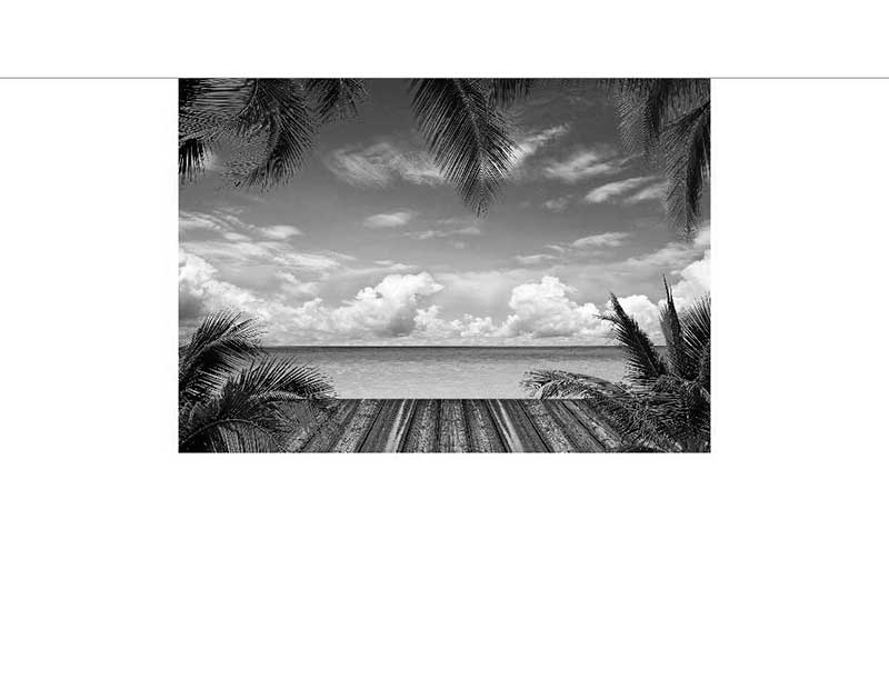 Schwarz-Weiß-Foto von einem tropischen Strand mit Palmen und Wolken im Hintergrund