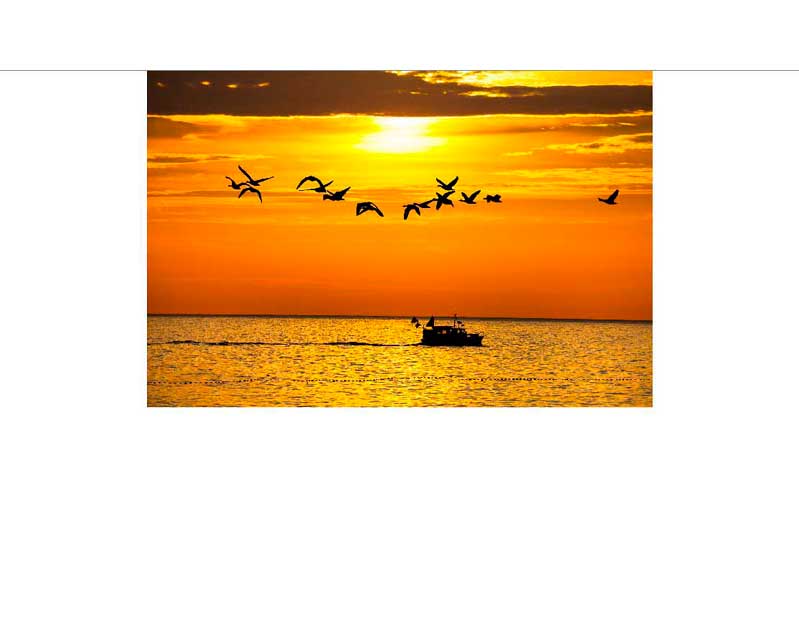 Ein Boot fährt bei Sonnenuntergang auf dem Meer, während Vögel am Himmel fliegen.