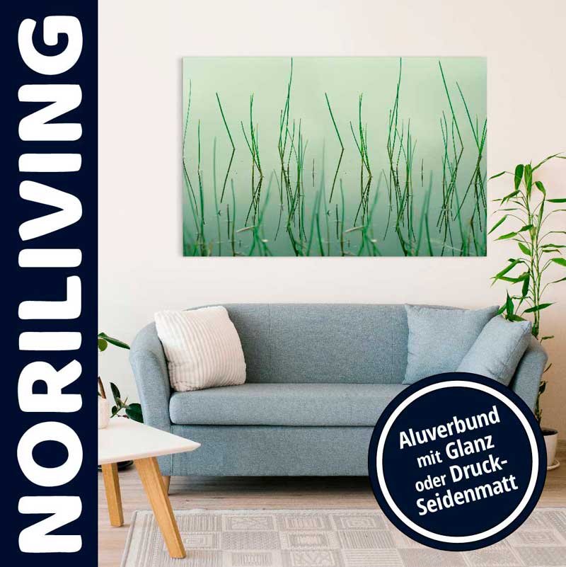 Modernes Wohnzimmer mit Kunstwerk aus Aluverbund - Glanz oder Druck-Seidenmatt verfügbar Sofa mit dekorativem Kunstbild an der Wand, angeboten von Noriliving, Aluverbund mit Glanz oder Druck-Seidenmatt