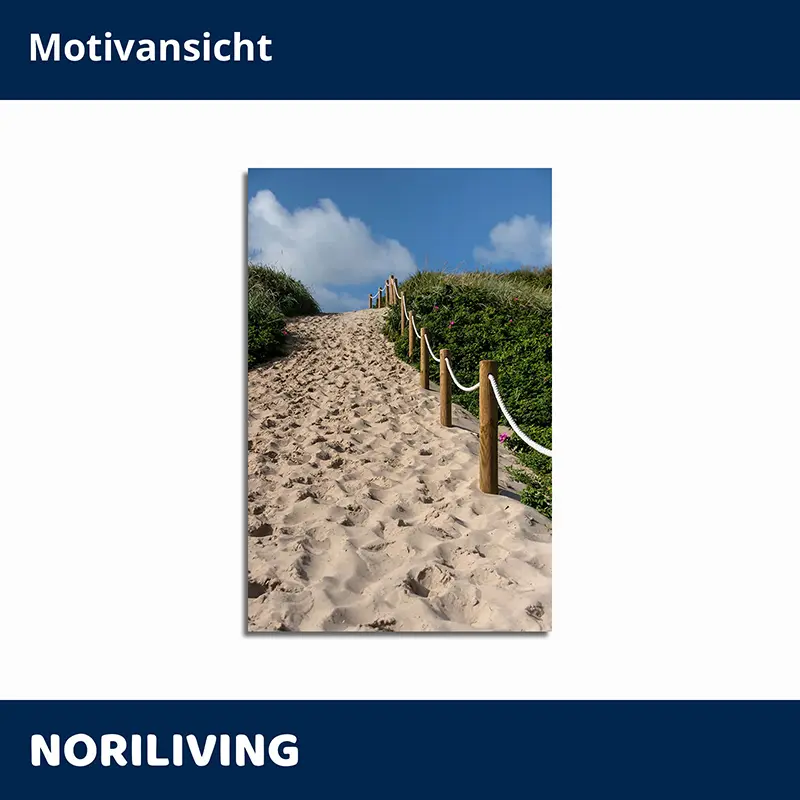 Sandiger Dünenpfad mit Holzpfosten und Seil