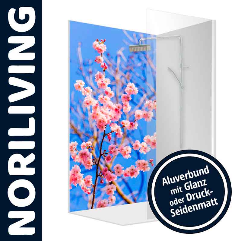 Dekorative Duschwand mit Kirschblütenbild auf Alu-Verbundmaterial, erhältlich in glänzend oder seidenmatt