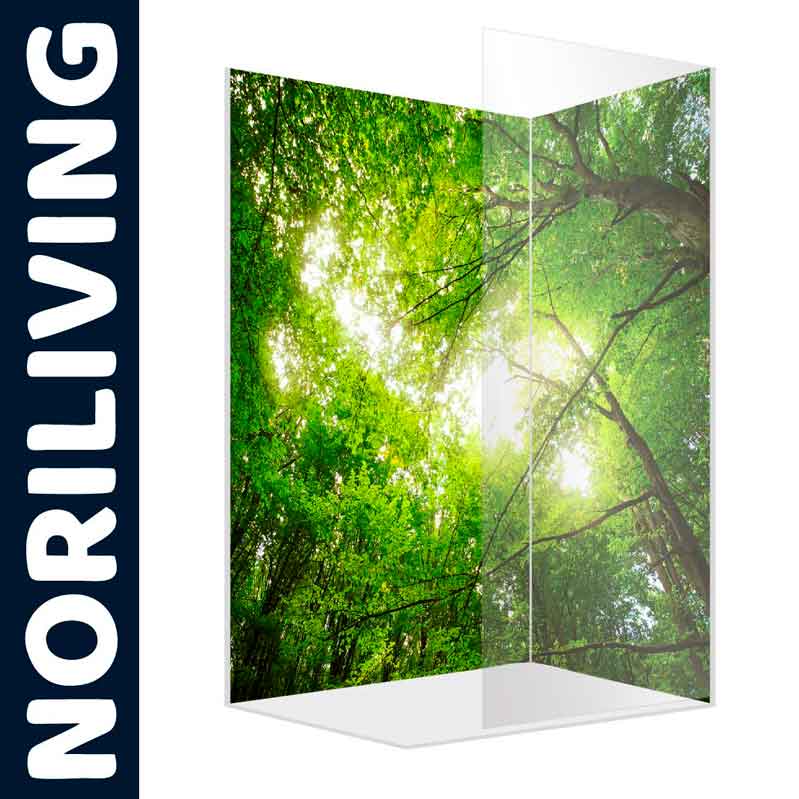 Natur-Design Glasabtrennung mit Waldmotiv von Noriliving Glasabtrennung mit grünem Waldmotiv und Sonnenstrahlen von Noriliving