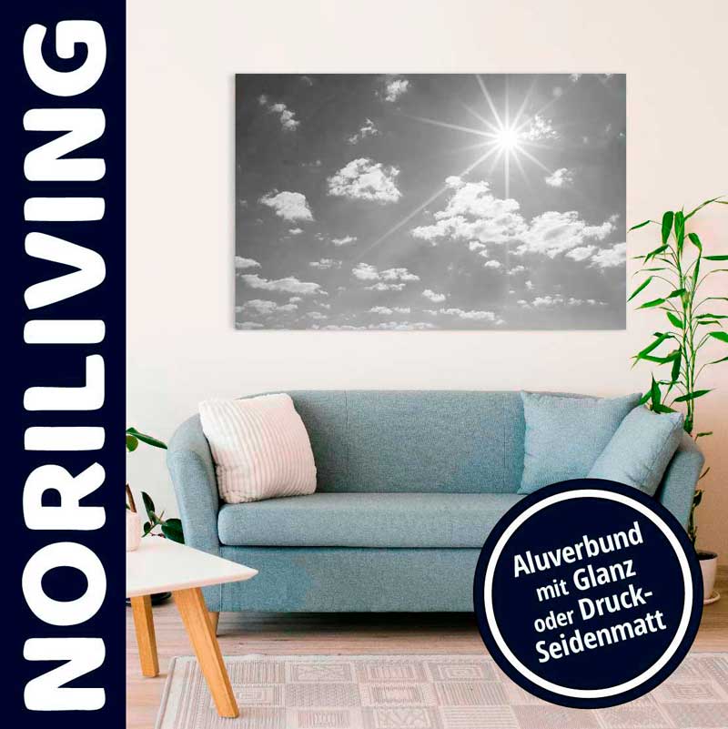 Modernes Wohnzimmer mit blauem Sofa und stilvollem Schwarz-Weiß-Leinwandbild an der Wand von Noriliving. Pflanzen und Dekoration im Hintergrund.