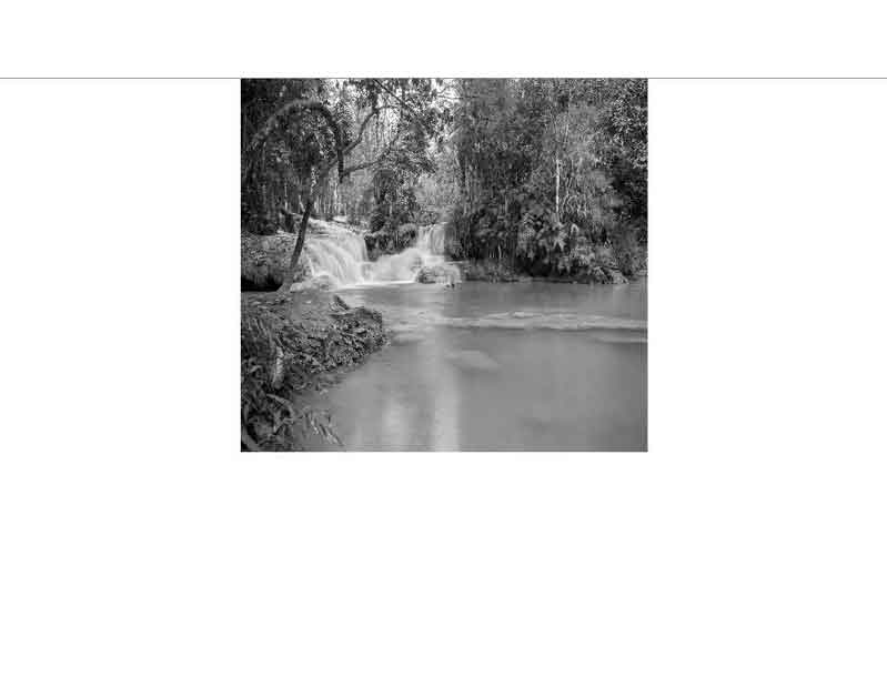 Schwarz-Weiß-Fotografie eines idyllischen Wasserfalls, der von dichtem Wald umgeben ist.