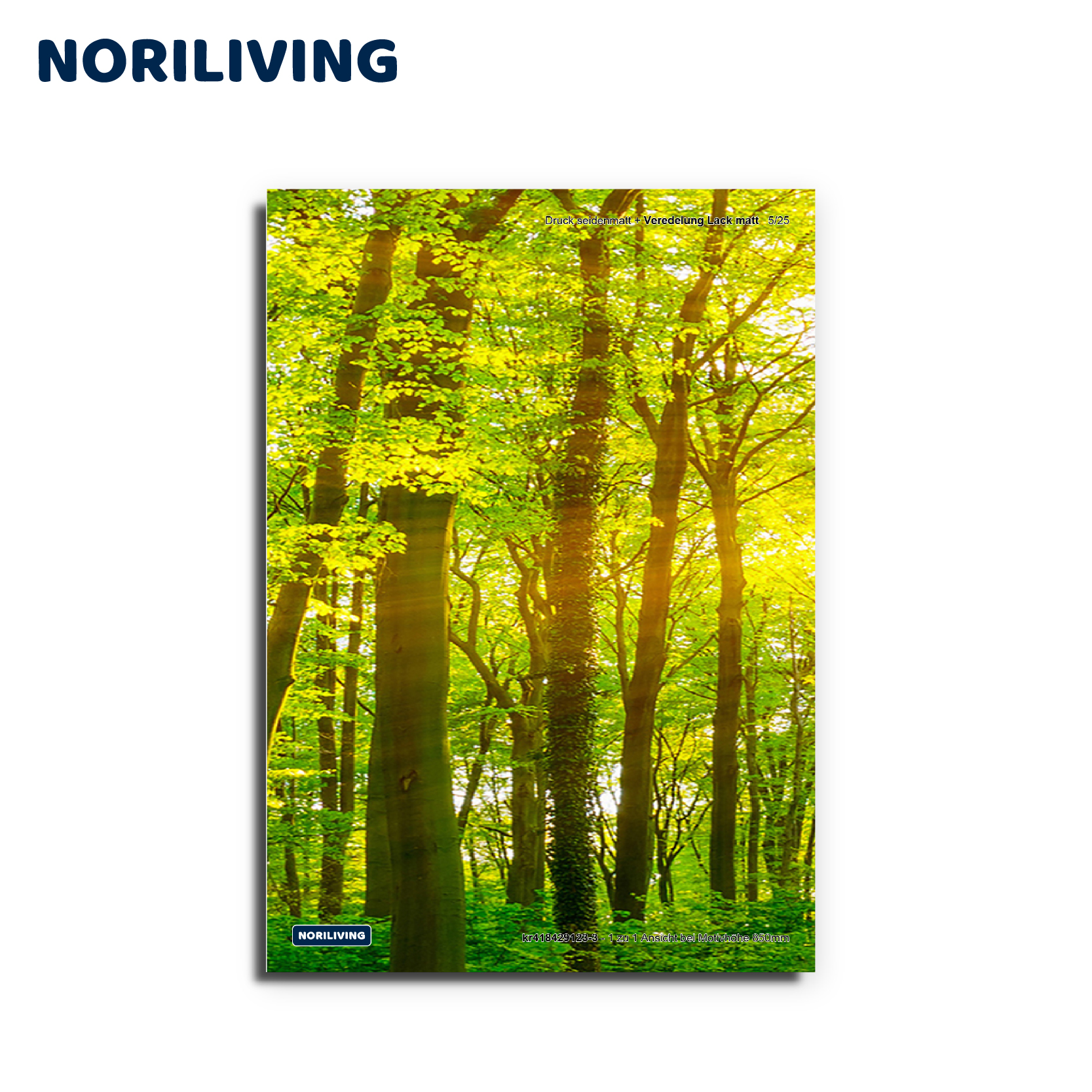 Strahlender Wald mit Sonnenlicht durch die Bäume, Markenlogo NORILIVING