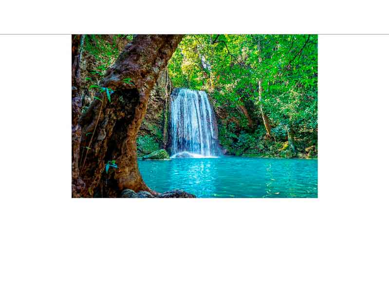 Ein Wasserfall fließt in einen klaren, türkisfarbenen Teich, umgeben von üppigen grünen Bäumen und Pflanzen.