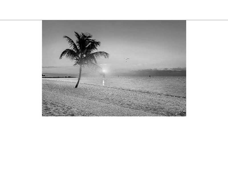 Ein Strand mit einer einzelnen Palme im Vordergrund und einem Sonnenuntergang im Hintergrund, alles in Schwarz-Weiß gehalten.