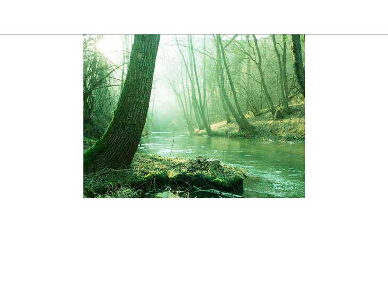 Ein ruhiger Fluss fließt durch einen dichten Wald. Die Sonne scheint durch die Bäume und erzeugt eine mystische Atmosphäre im Morgenlicht.