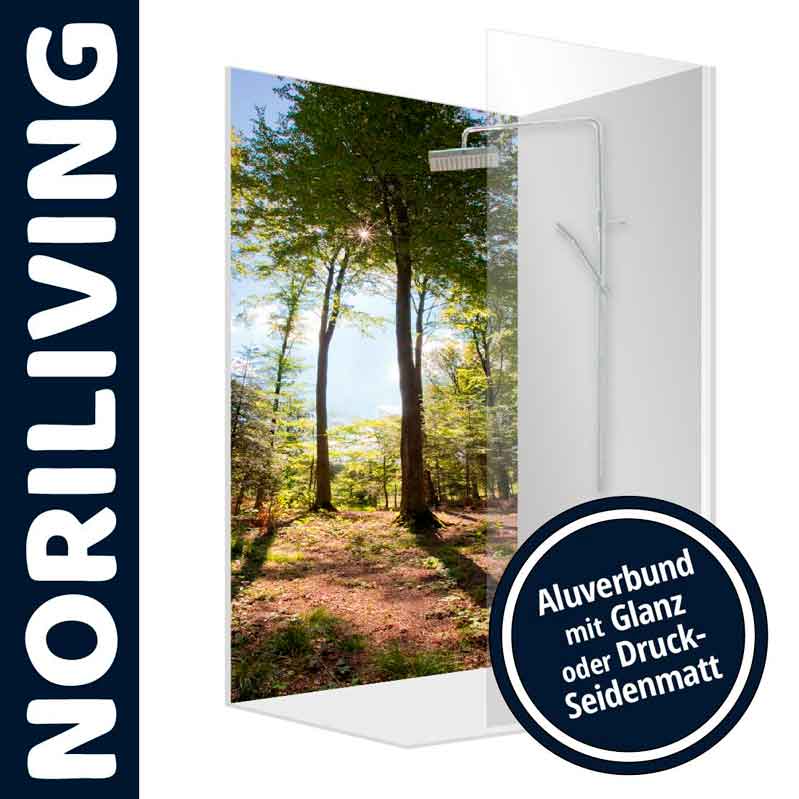 Duschrückwand mit Waldbild - Aluverbund Glanz oder Druck-Seidenmatt Duschrückwand aus Aluverbund mit Bild eines Waldes, in Glanz oder Druck-Seidenmatt erhältlich