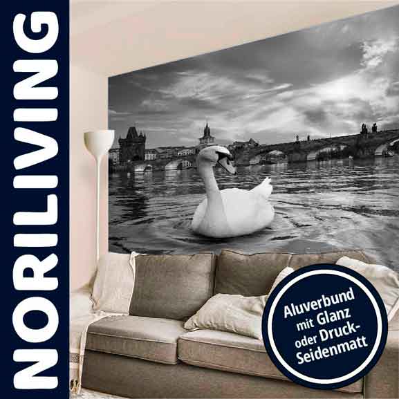 Wandbild mit Schwan auf Fluss und Brücke im Hintergrund, erhältlich mit Alubund in Glanz oder matt Schwarz-weißes Wandbild eines Schwans auf einem Fluss vor einer Brücke im Wohnzimmer