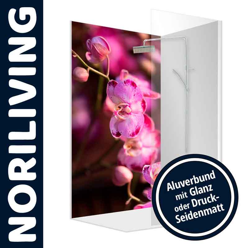 Duschwand von Noriliving mit violettem Orchideenblüten-Motiv, aus Aluverbundmaterial, erhältlich in glänzender oder seidenmatter Ausführung.