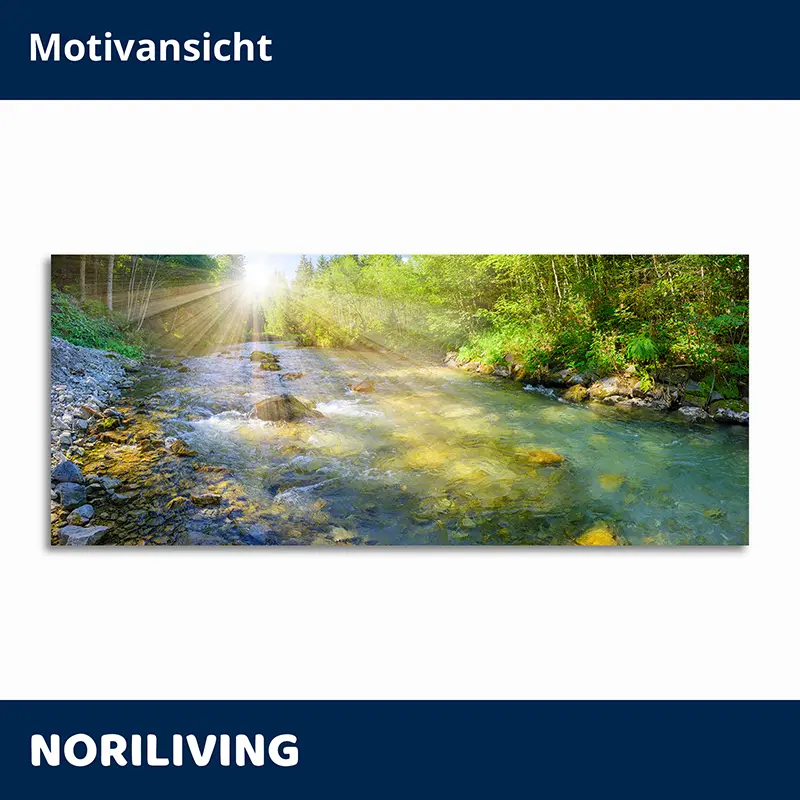 Wandbild Fluss im Wald mit Sonnenlicht