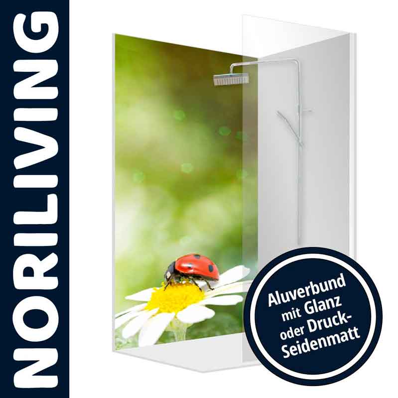 Duschwand von NORILIVING mit Marienkäfer-Dekor auf Gänseblümchen, erhältlich in Aluverbund mit glänzender oder seidenmatter Optik
