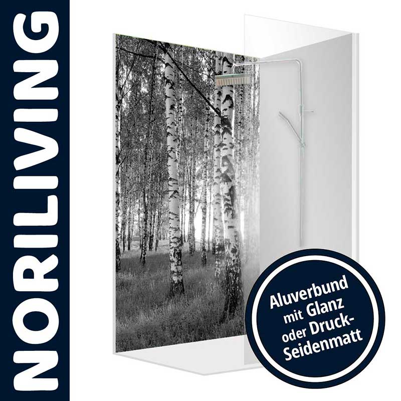 NORILIVING Duschwand aus Aluverbund mit Birkenwalddesign Duschwand mit Birkenwald-Bild von NORILIVING, erhältlich in Glanz oder Druck-Seidenmatt