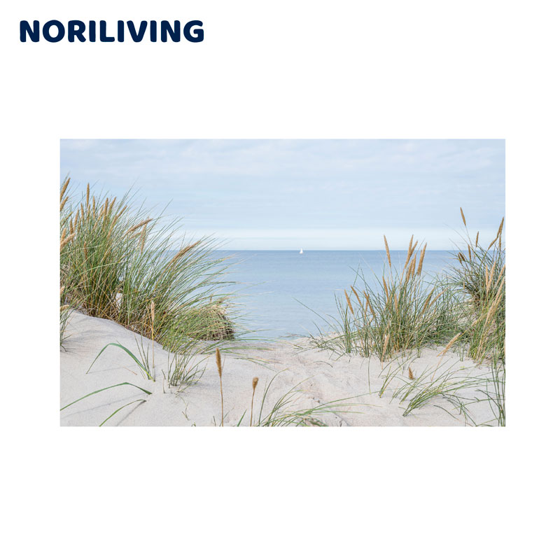 Blick auf das Meer über Sanddünen mit Gräsern, ein ruhiges Bild einer Strandlandschaft