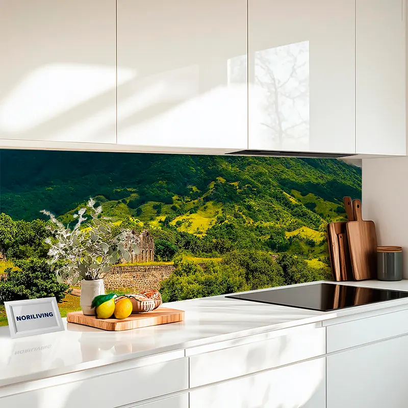 Küchenrückwand Alu Festungsmauern des Brimstone Berges in St. Kitts 534