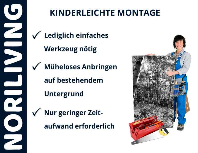 Frau hält Bild mit Werkzeugen, Text zur einfachen Montage und Hinweise auf minimalen Aufwand bei Noriliving