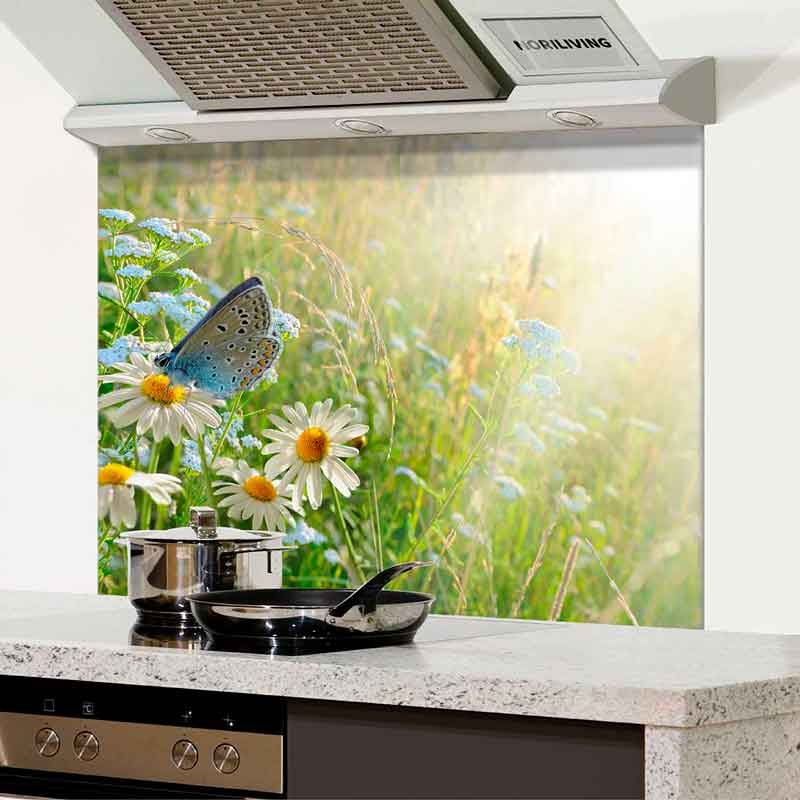Dekorativer Küchenspritzschutz mit Schmetterling auf Margeritenblüten vor grünem Hintergrund