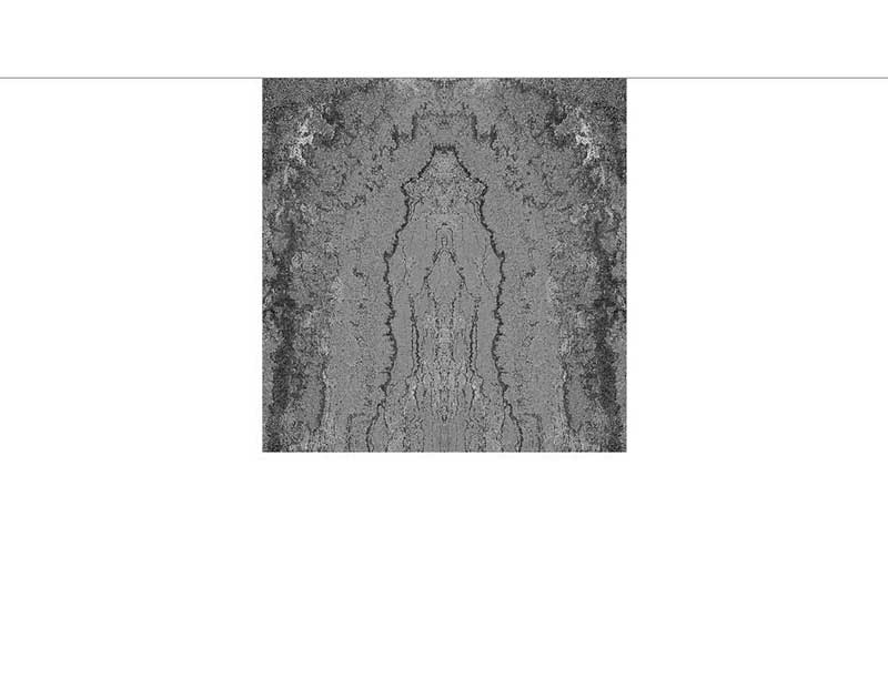 Ein abstraktes Design, das symmetrische Muster in verschiedenen Grauschattierungen zeigt, ähnlich einer natürlichen Textur oder eines Baumrindenschnitts.