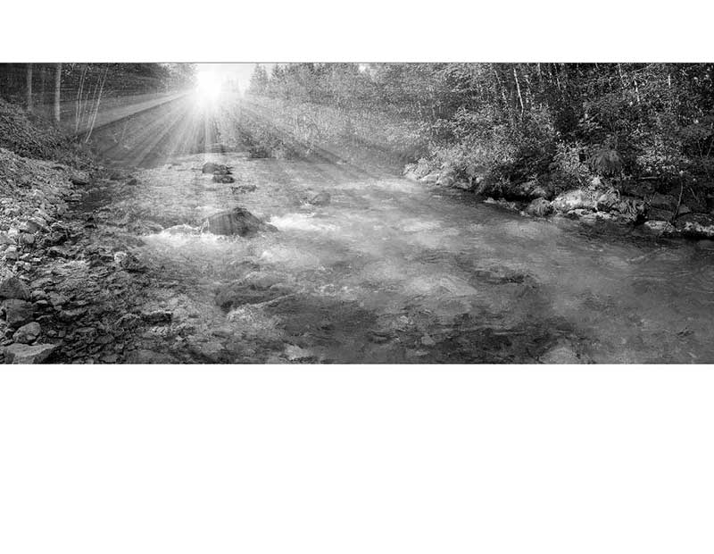 Romantischer Fluss im Morgenlicht Ein ruhiger Fluss im Wald, beleuchtet von Sonnenstrahlen, die durch die Bäume scheinen.