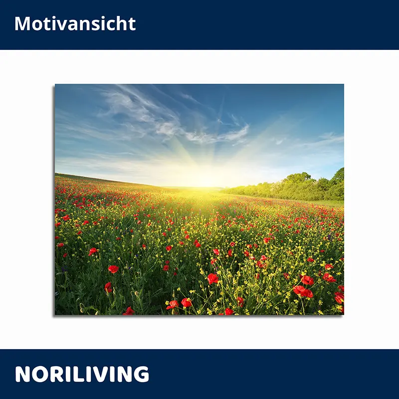 Weites Mohnfeld mit aufgehender Sonne und Wolken