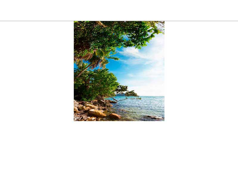 Eine tropische Küste mit üppigem Grün und klarem Himmel am Meer