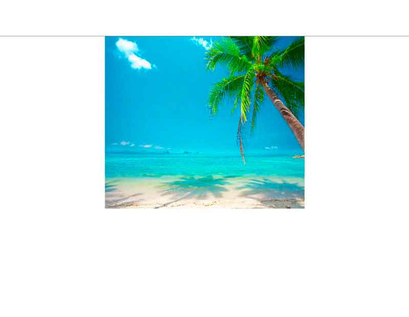 Tropischer Strand mit Palmen und klarem blauem Himmel Eine Palme an einem sonnigen Strand mit türkisfarbenem Meer und blauem Himmel