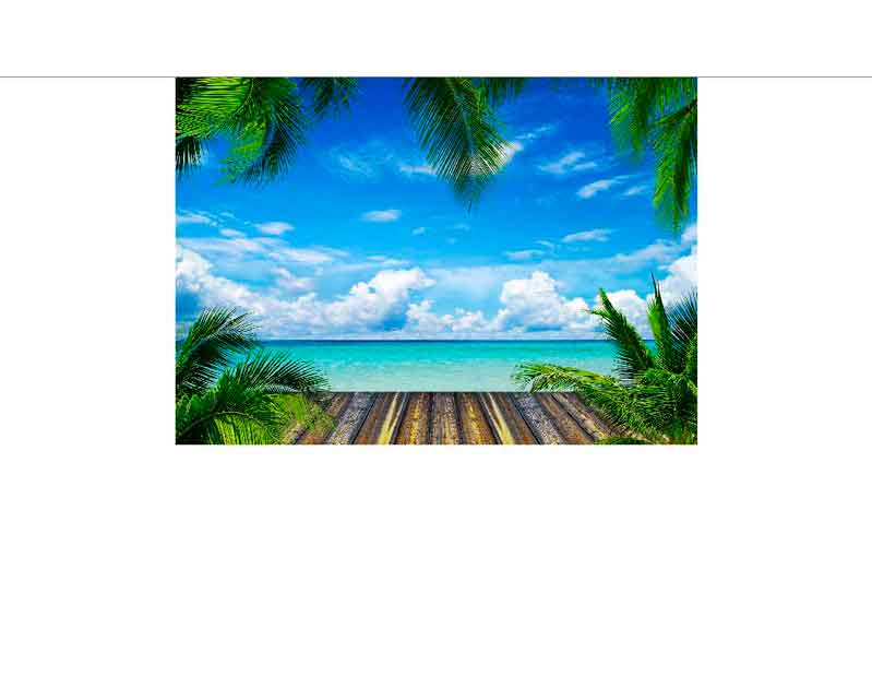 Holzsteg mit Blick auf tropische Küste und Palmen Ein Holzsteg führt zu einer tropischen Küstenlandschaft mit Palmen und blauem Himmel